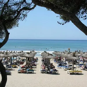 https://hotel-palmira-paguera.balearic-islands.net